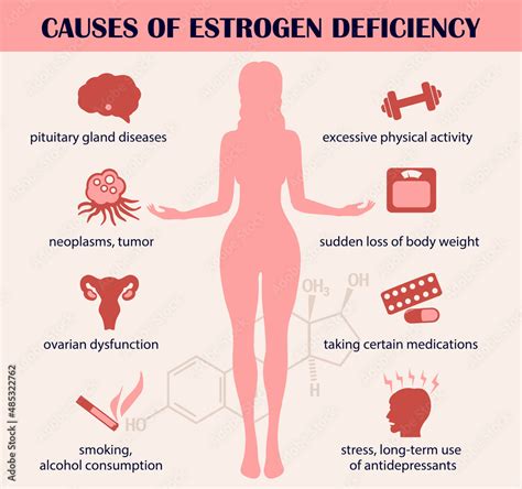 Causes Of Estrogen Deficiency Infographics Estrogen Hormone Concept