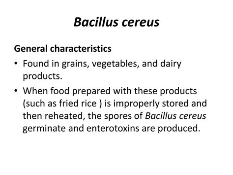 Solution Bacillus Cereus Studypool