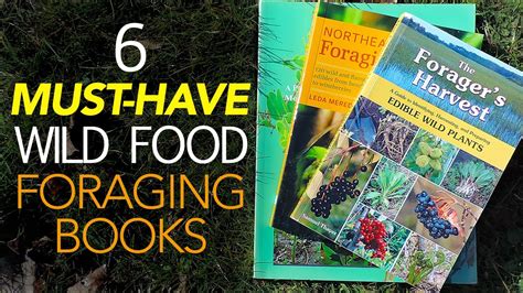 6 Must Have Wild Food Foraging Books Youtube