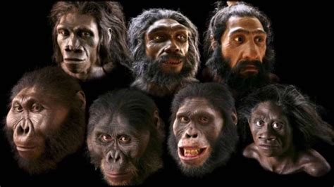 what did the first humans look like