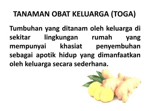 Penyuluhan Tanaman Obat Keluarga Toga Fix Pptx