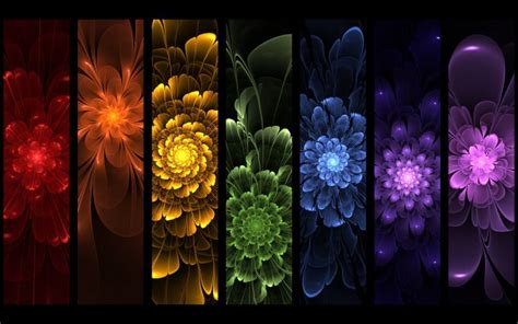 Rainbow Flowers Images Hd Desktop Wallpapers 4k Hd