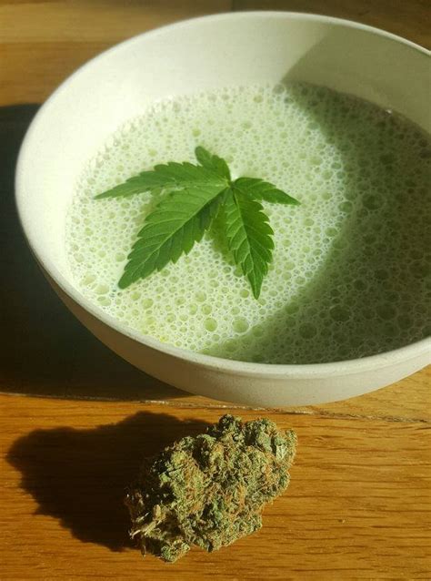Let's know what is bhang firstly and its historical presence within indian culture and religion. Bhang Lassi, leche de cannabis - Blog del Grow Shop Alchimia