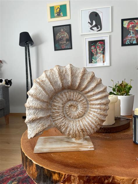 Large Sea Shell Sculpture Statue 11 Incheshome Decor Etsy Uk
