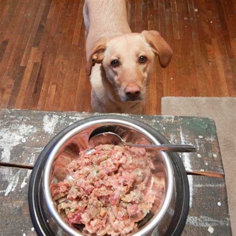 Our raw dog food composition. 5 Things to Consider Before Switching to Homemade Dog Food