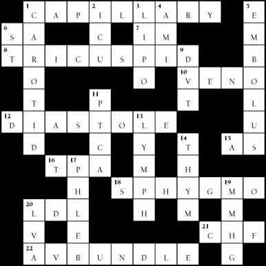 State facts crossword puzzle (includes an answer key). Skeletal System Crossword - Medical Terminology