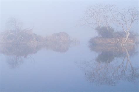 Free Images Landscape Water Swamp Branch Snow Winter Fog Mist