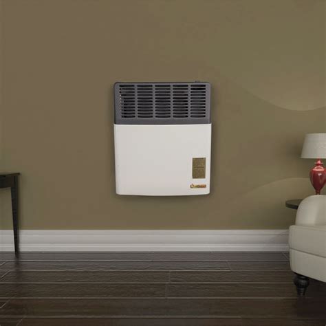 Ashley Hearth Products Direct Vent Wall Heater — 12000 Btu Propane