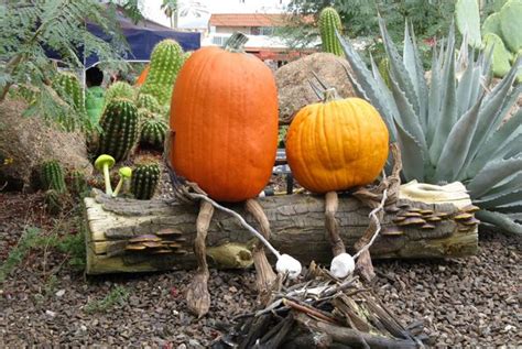 Artist Brings World Class Carvings And Vignettes To Arizona Pumpkin