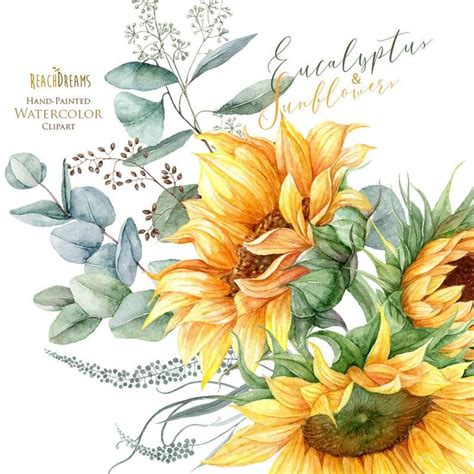 Clipart De Tournesol Clipart Eucalyptus Clipart De Greenery Etsy