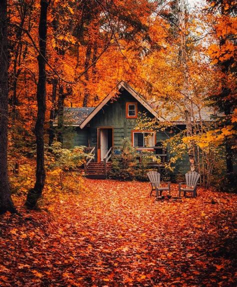 Autumn Foliage Autumn Leaves Autumn Colors Cabins In The Woods