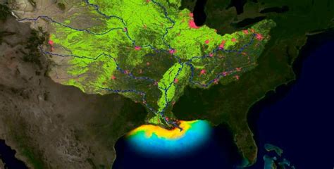 2019 Gulf Of Mexico Dead Zone Is The Second Biggest On Record And The