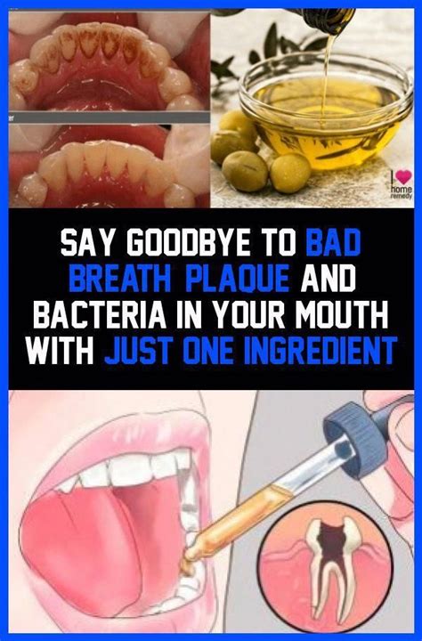 say goodbye to bad breath plaque and bacteria in your mouth with just