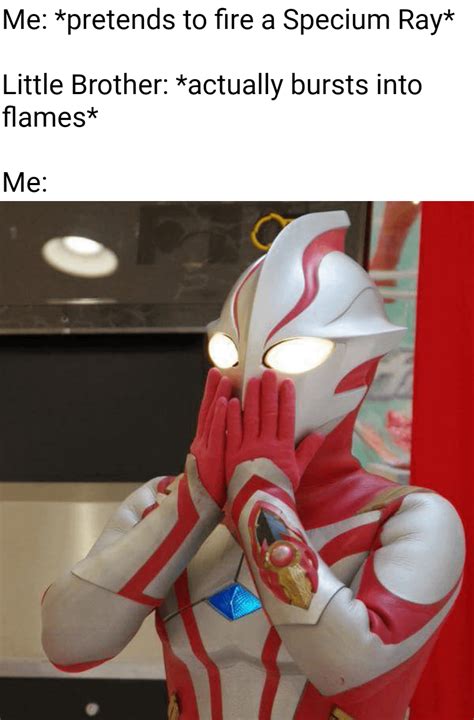 A Collection Of Ultraman Memes Rultraman