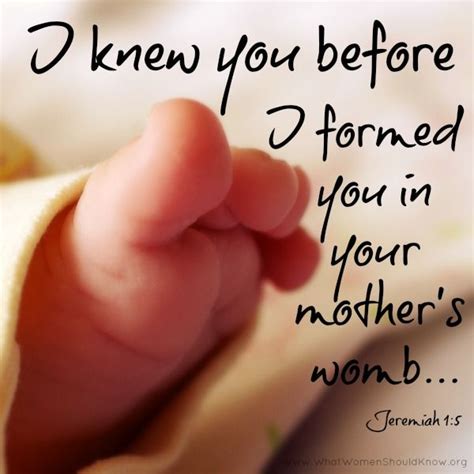 Mothers Womb Jeremiah 15 Christin Ditchfield Quotes Bible Quotes