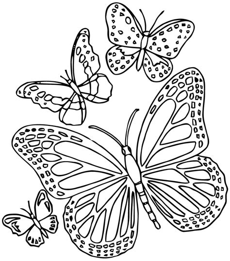 Coloriages Imprimer Papillon Num Ro Daea