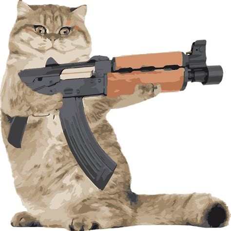 Ak47 Kalashnikat Funny Cat Gun By Ironwomennt Redbubble