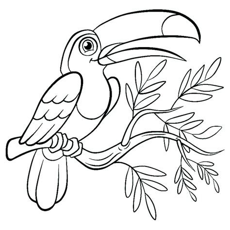It's excellent for those who love animals, especially tropical birds. Coloriage Toucan - Dessin et Coloriage