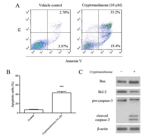 cryptotanshinone induces apoptosis and autophagic cell death in prostate cancer cells hapres an