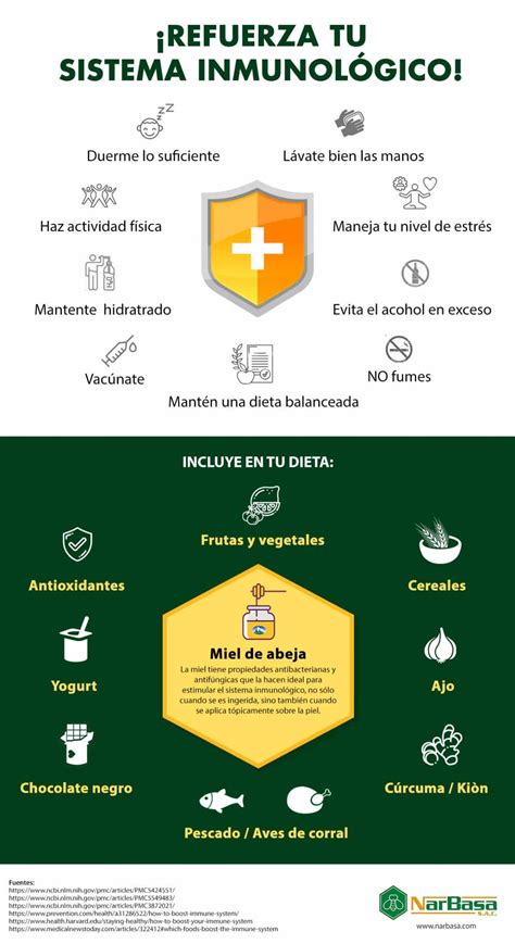 Consejos Para Reforzar Tu Sistema Inmunológico Infografía Narbasa