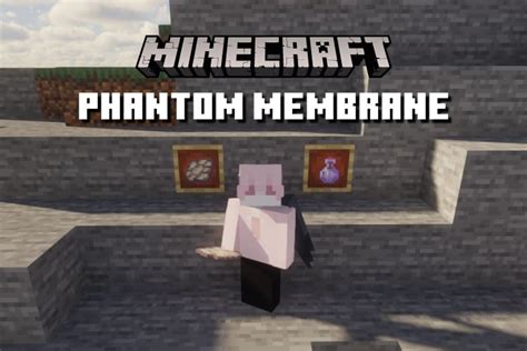 How To Get And Use Phantom Membrane In Minecraft