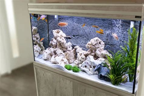 How To Decorate Plexiglas Aquarium For Beautiful Fish An Astonishing