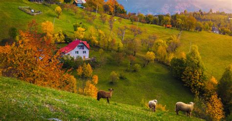 Top 10 Peisaje De Toamnă Surprinse în România Blogul Travelminitro