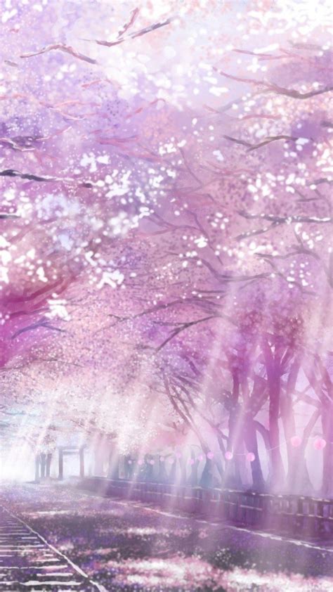 Cherry Blossom Anime Mobile Wallpapers Wallpaper Cave