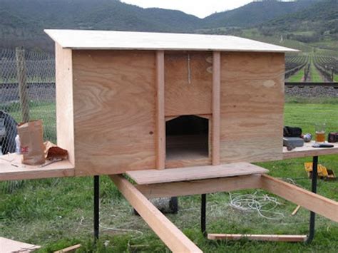 Diy Trampoline Chicken Coop The Owner Builder Network