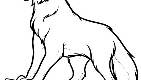 570x320 drawing anime wolves easy to draw anime wolf. Wolf Drawing Pics | Free download on ClipArtMag