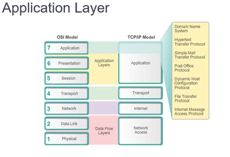 The Application Layer In Detail Networking For Beginners With Debby