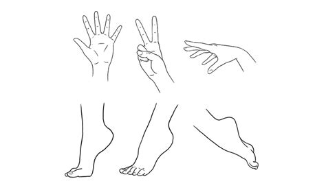 How To Draw Anime Hands And Feet Envato Tuts