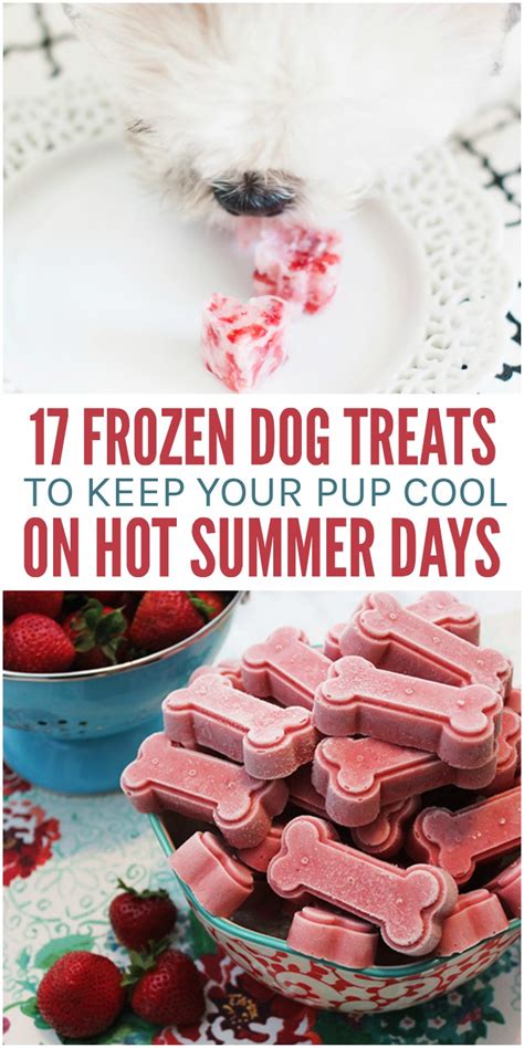 17 Frozen Dog Treats To Keep Your Pup Cool This Summer