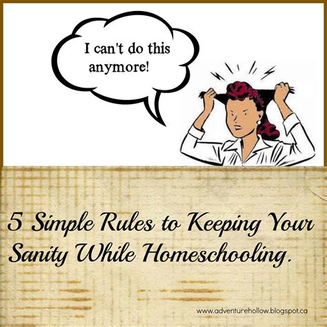 5 Simple Rules To Keeping Your Sanity While Homeschooling Adventure