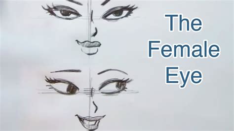 How To Draw The Female Eye Step By Step Christopher Hart