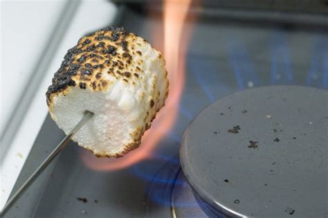 How To Roast A Marshmallow LEAFtv
