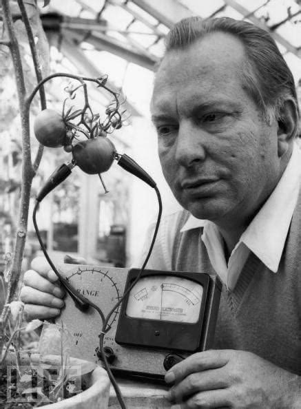 The Hubbard Electrometer To Find Out Whether Tomatoes Experience Pain