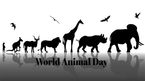 World Animal Day 2019 Date Significance And History Of The Day