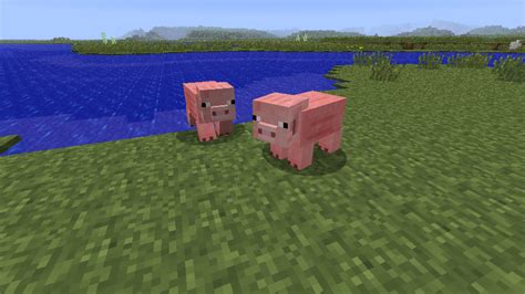 Minecraft Pig Side View