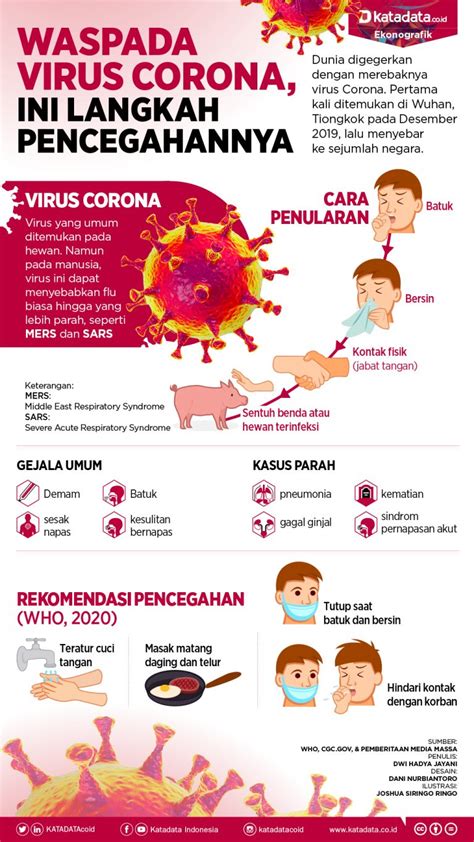 Ini cara virus corona menyerang tubuh. Infografis - PPID Utama Kabupaten Bantul