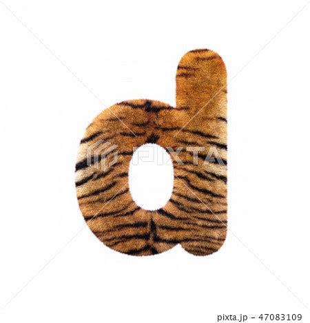 Tiger letter D Lowercase 3d Feline fur fontのイラスト素材 47083109 PIXTA