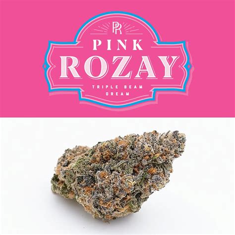 Pink Rose Strain Archives Rare Weed Strains