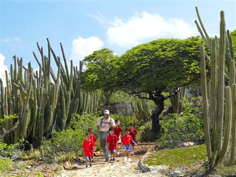 10 dicas para curtir Aruba com crianças Casa Vogue Lazer Cultura