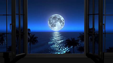 Night View From Hotel Window On Moon Sea Stock Motion Graphics Sbv