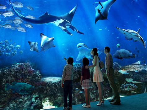 Combo Universal Studios Singapore And Sea Aquarium