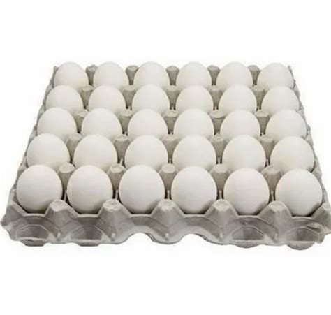 White Poultry Eggs Packaging Size 30 Egg For Try At Rs 160tray In