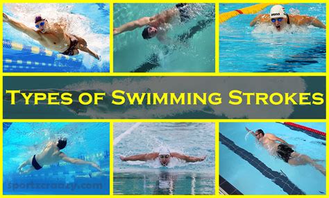 Different Types Of Swimming Styles With Pictures Picturemeta