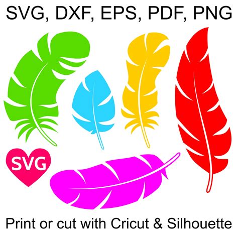 Colorful feathers SVG files to print or cut