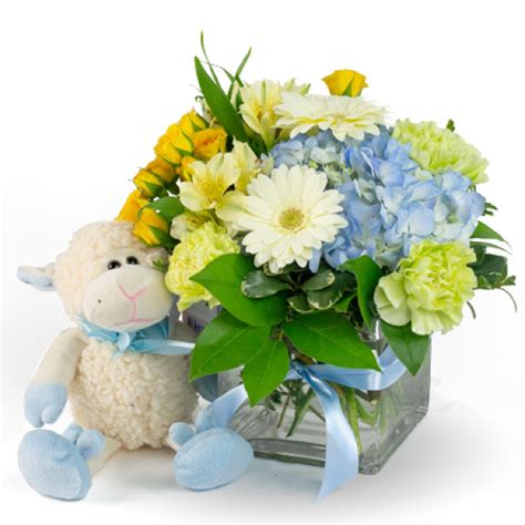 Fizz Build Flowers Delivered For New Baby Boy The Most Important