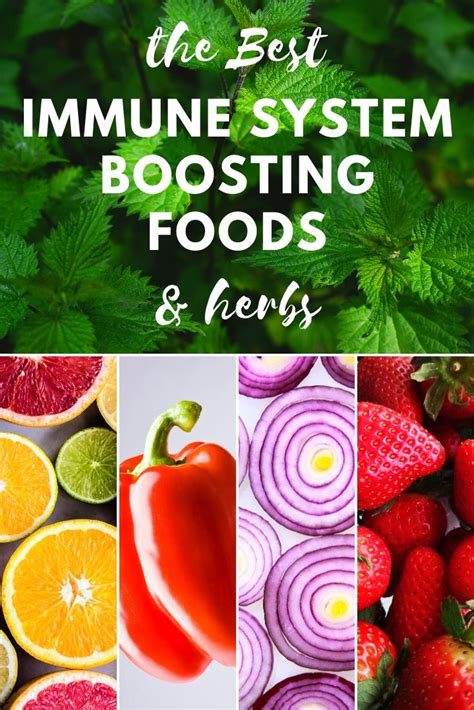 Vegetarians have been shown to have more effective white blood cells when compared to nonvegetarians, due to a high intake of vitamins and low intake. The best immune system boosting foods  & herbs  in 2020 ...
